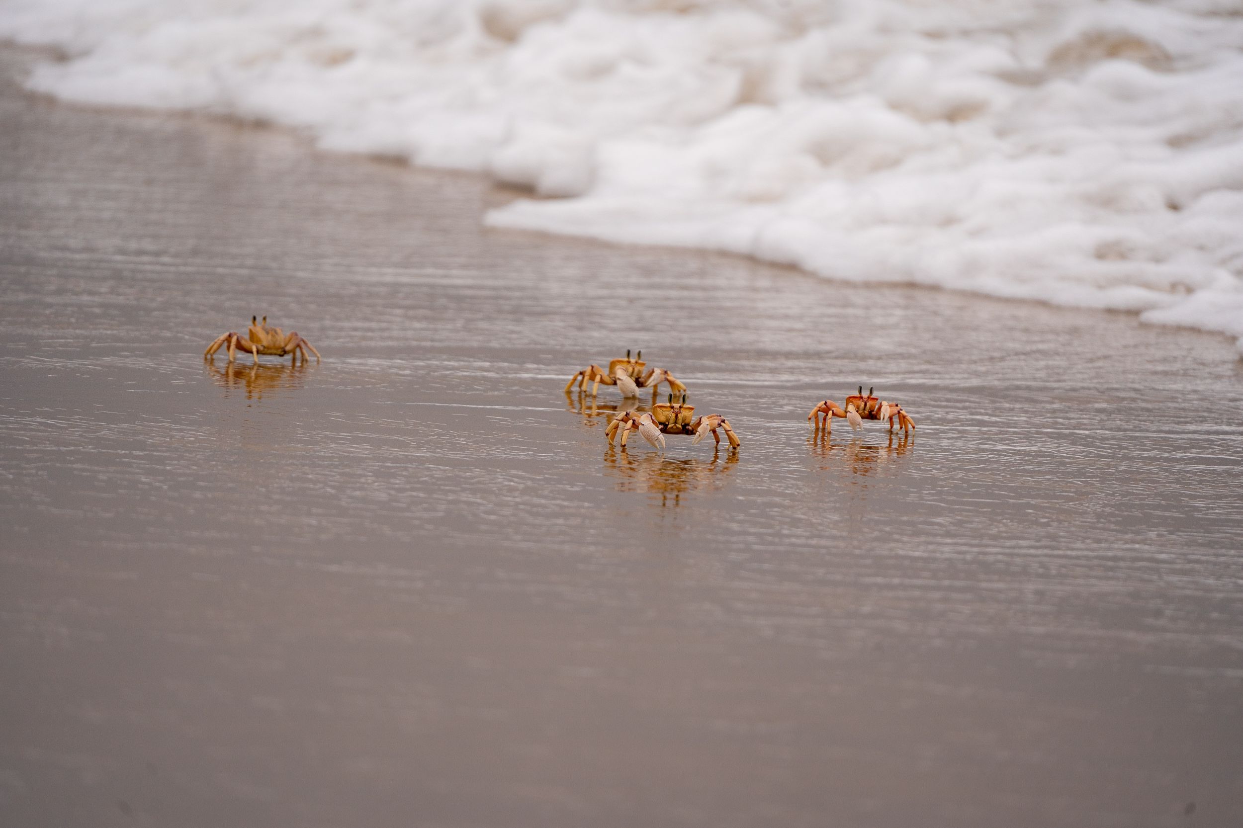 20230927 115031 Fotobuch Südafrika 04110
